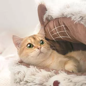 Зимняя кошачья будка, теплая кошачья кровать, полностью закрытая собачья будка, универсальная для всех сезонов, товары для зимнего сна для маленьких собак Brown bear