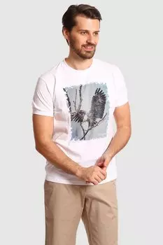 Футболка из хлопка KANZLER