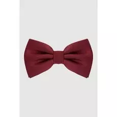 Галстук-бабочка KANZLER