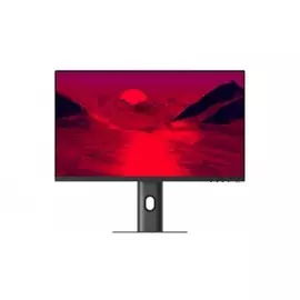 Игровой монитор Xiaomi Mi Fast LCD 24,5" 240Hz (XMMNT245HF2)
