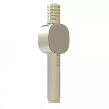 Микрофон Xiaomi Otaru HoHo Sound Mic A3 Gold