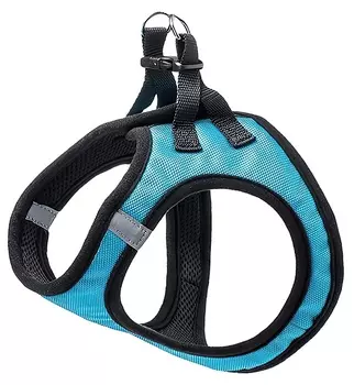 Xiaomi Jordan Judy PE073 L