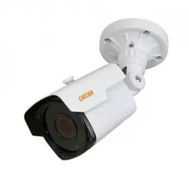 Сетевая IP-камера видеонаблюдения CARCAM CAM-4895VP