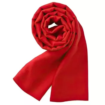 Xiaomi PMA Graphene Heating R10 Red