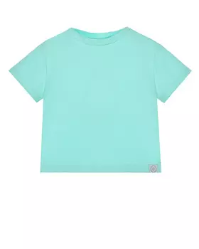 Базовая футболка мятного цвета Dan Maralex детская