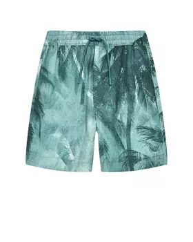 Бермуды с принтом "пальмы", зеленые Emporio Armani