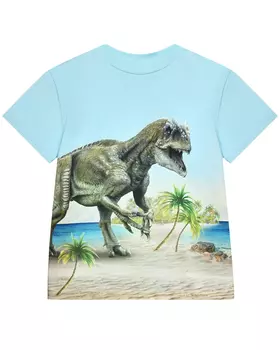 Футболка Roxo Beah Dino Molo