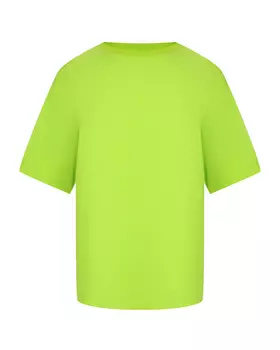 Футболка салатового цвета Dan Maralex
