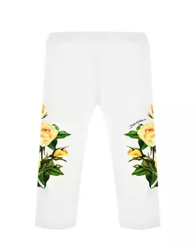 Леггинсы с принтом "желтые розы" Dolce&Gabbana