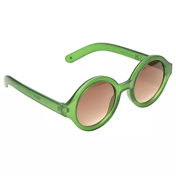 Очки Shelby "Green Bee" Molo