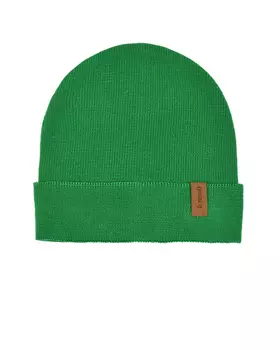 Шапка с отворотом, зеленая Il Trenino