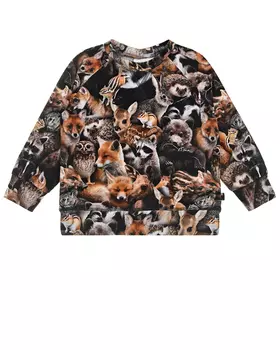 Свитшот Forest Animals Molo детский