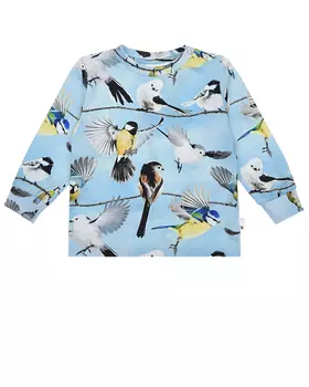 Толстовка Eloy Baby Birds Molo детская