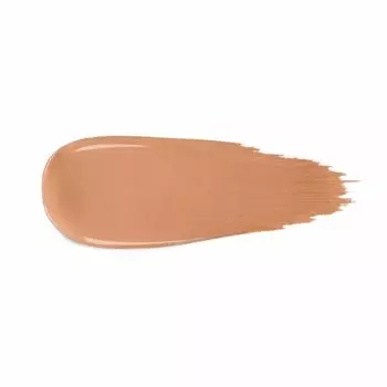 CC CREAM CUSHION SYSTEM