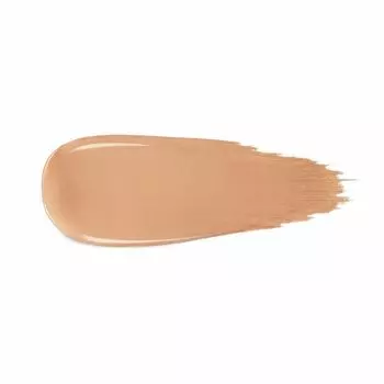 CC CREAM CUSHION SYSTEM