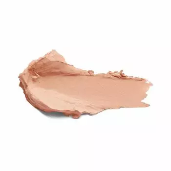 SKIN EVOLUTION CONCEALER