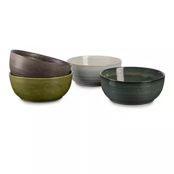 ASA-Selection Набор из 4 пиал 18 см Forest Poke Bowls ASA-Selection