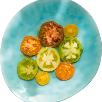 ASA-Selection Тарелка 27 х 24,5 см Turquoise A La Plage ASA-Selection