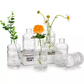 Glasseam Набор ваз для цветов 6 предметов Glasseam