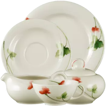 Seltmann Weiden Чайный сервиз 20 предметов Livorno Orlando Seltmann