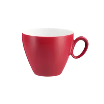 Seltmann Weiden Чашка для кофе 0.23 л Rubinrot Trio Seltmann