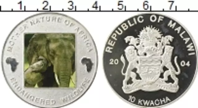 Монета 10 квача Малави 2004 года Посеребрение Охрана дикой природы