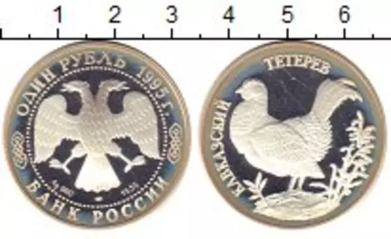 Монета рубль России 1995 года Серебро Кавказский тетерев