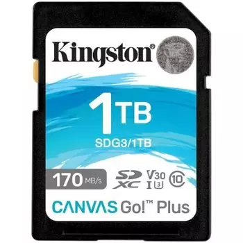 Kingston Canvas Go! Plus 1TB