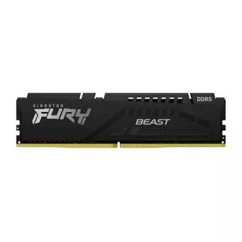 Kingston Fury Beast