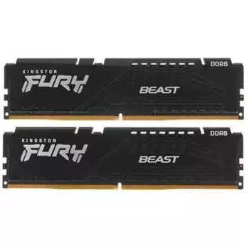 Kingston Fury Beast