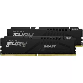 Kingston Fury Beast