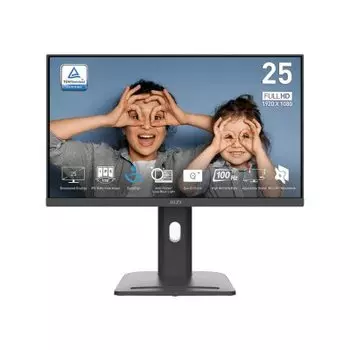 MSI Pro MP253P