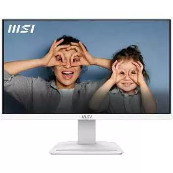 MSI Pro MP253W