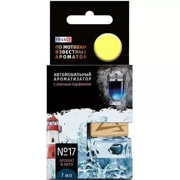 Ароматизатор Arnezi парфюм №17 по мотивам Paco Rabanne-Invictus (art. A1509156)