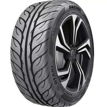 Автомобильная шина Otani