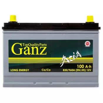 Автомобильный аккумулятор GANZ 100 Ач обратная полярность D31L