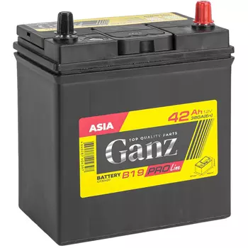 Автомобильный аккумулятор GANZ 42 Ач обратная полярность B19L