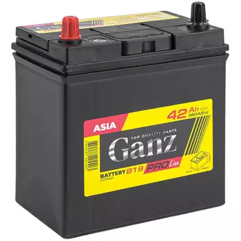 Автомобильный аккумулятор GANZ 42 Ач прямая полярность B19R