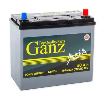 Автомобильный аккумулятор GANZ 50 Ач обратная полярность B24L