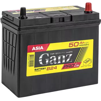 Автомобильный аккумулятор GANZ 50 Ач обратная полярность B24L