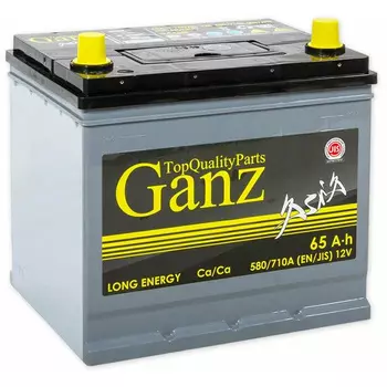 Автомобильный аккумулятор GANZ 65 Ач обратная полярность D23L