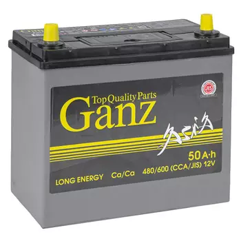 Автомобильный аккумулятор GANZ Asia 50 Ач прямая полярность B24R