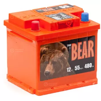 Автомобильный аккумулятор Tyumen Batbear 55 Ач прямая полярность L1