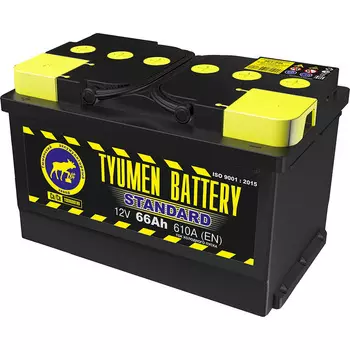 Автомобильный аккумулятор Tyumen Battery Standard 66 Ач обратная полярность LB3
