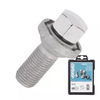 Болт секретный Farad 14х1,5х27 коробка 4+2 17 сфера ZA/M