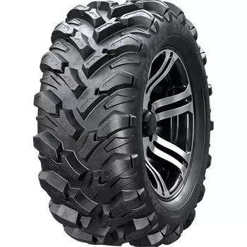 Квадрошина Кама