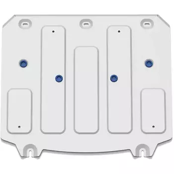 Защита переднего электродвигателя Rival для BYD (art. 333.0703.1)