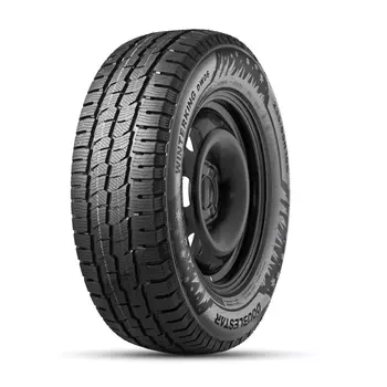 Doublestar Winterking DW06 205/75 R16 110/108R