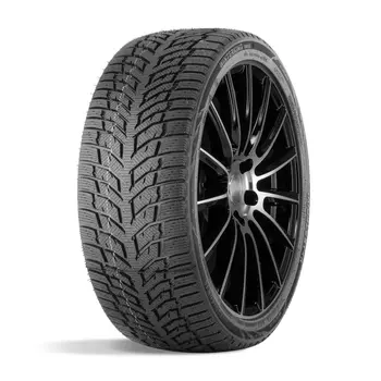 Doublestar Winterking DW08 195/55 R15 85T