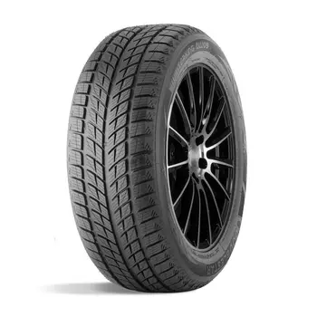 Doublestar Winterking DW09 215/55 R18 95H